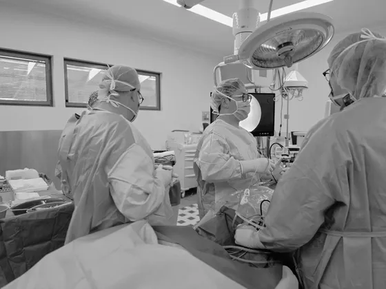 The surgical team working together in the operating theatre